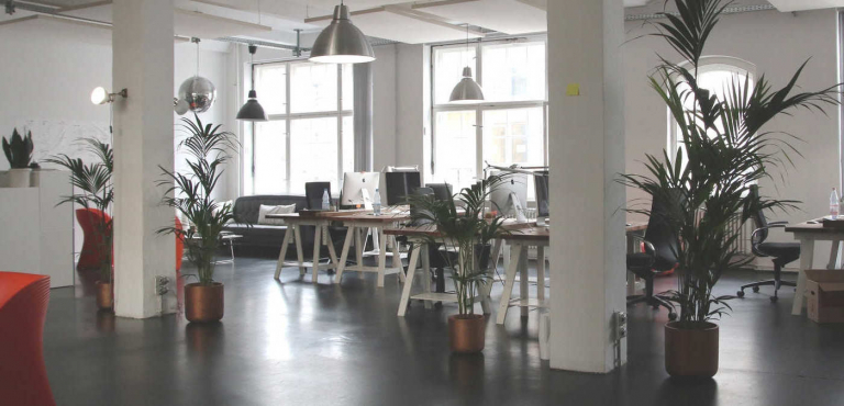 Diferencias entre Negocio Piramidal y Multinivel