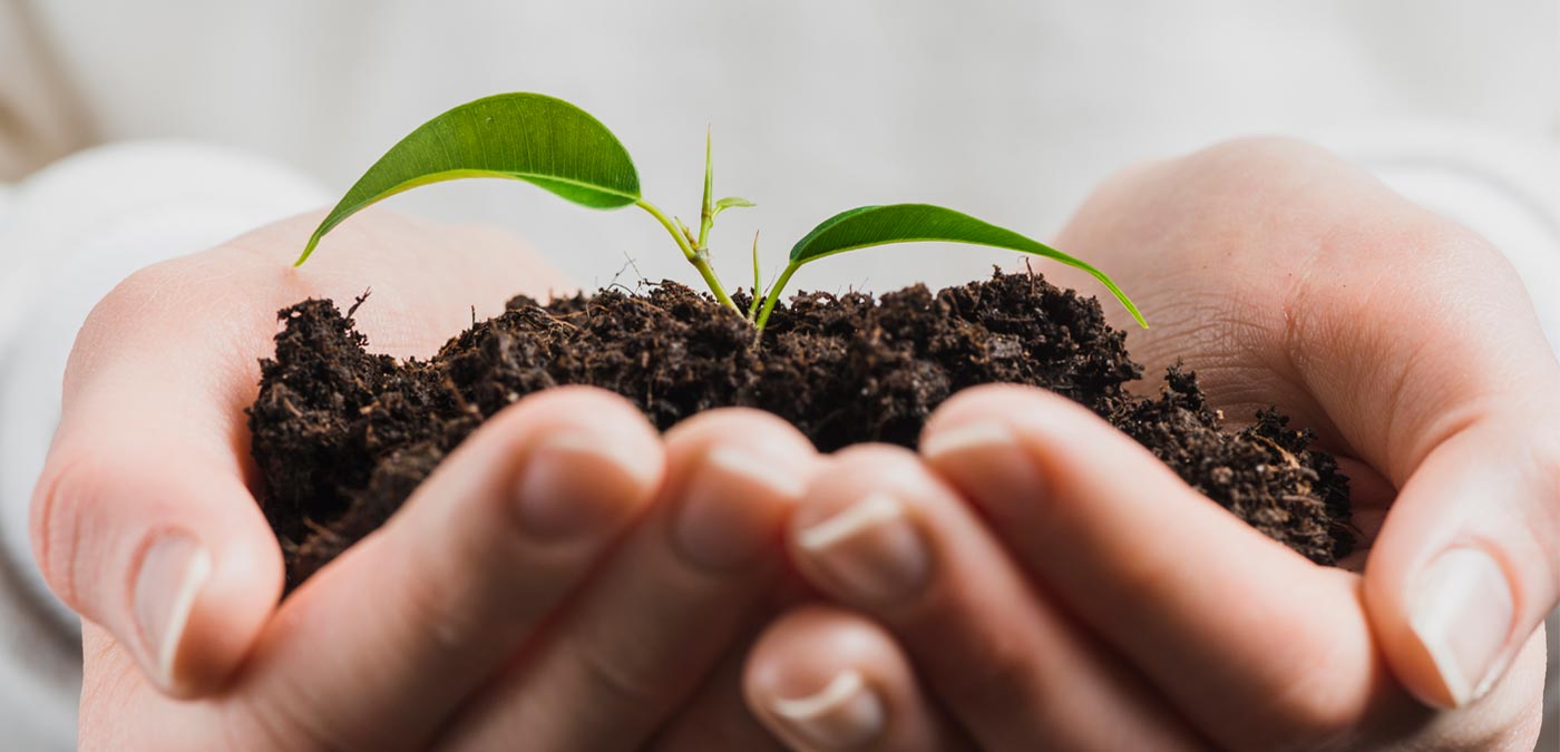 ¿Cómo cuidar el Medio Ambiente?