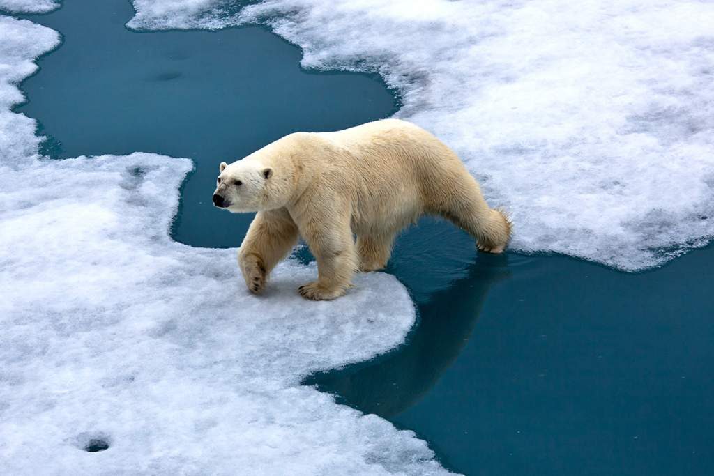 cusas y efectos del cambio climatico