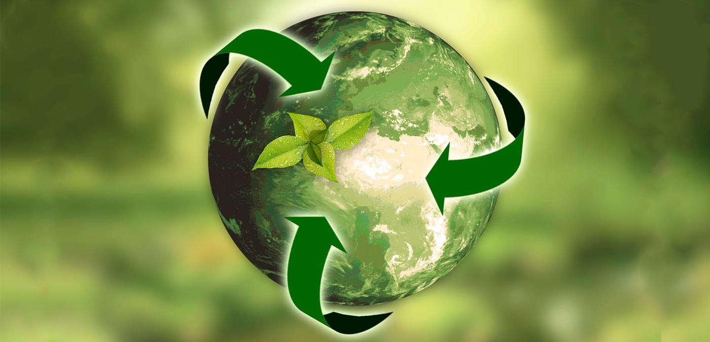 Ecología y medio ambiente: oportunidades laborales