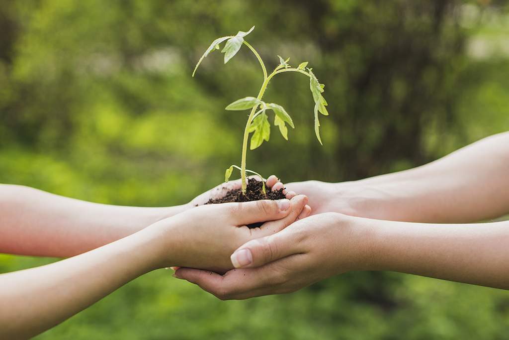 Ecología y medio ambiente