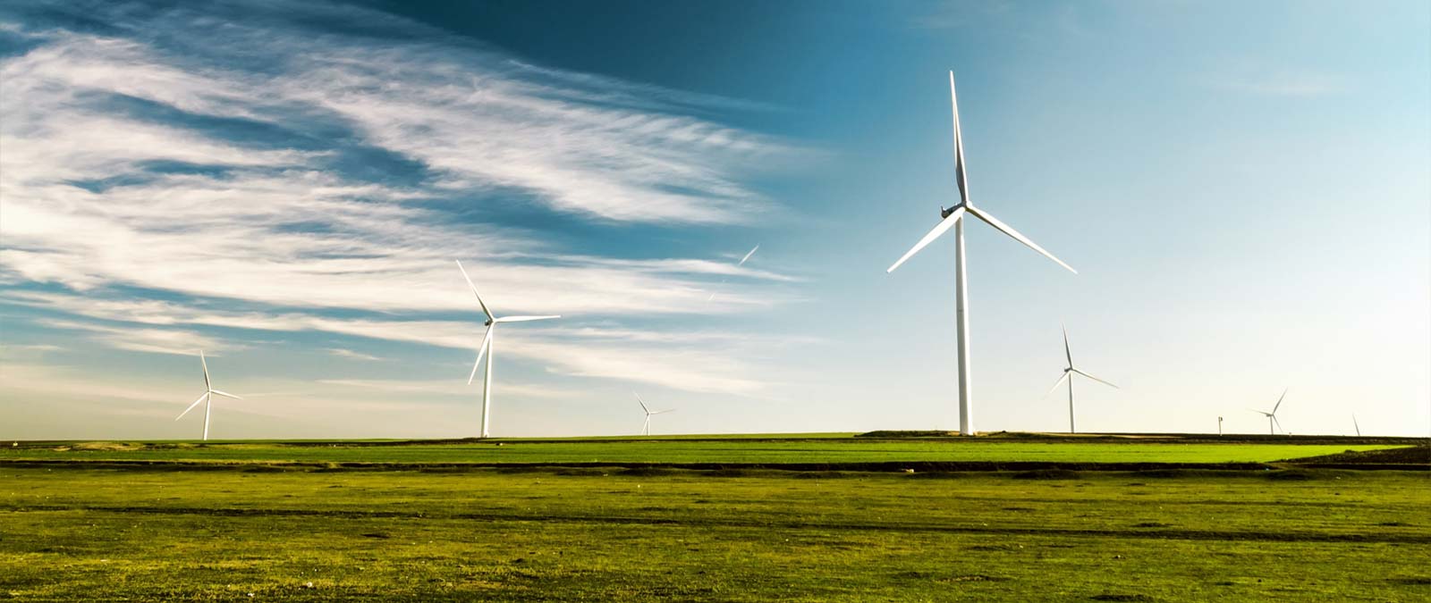 Cursos Medio Ambiente