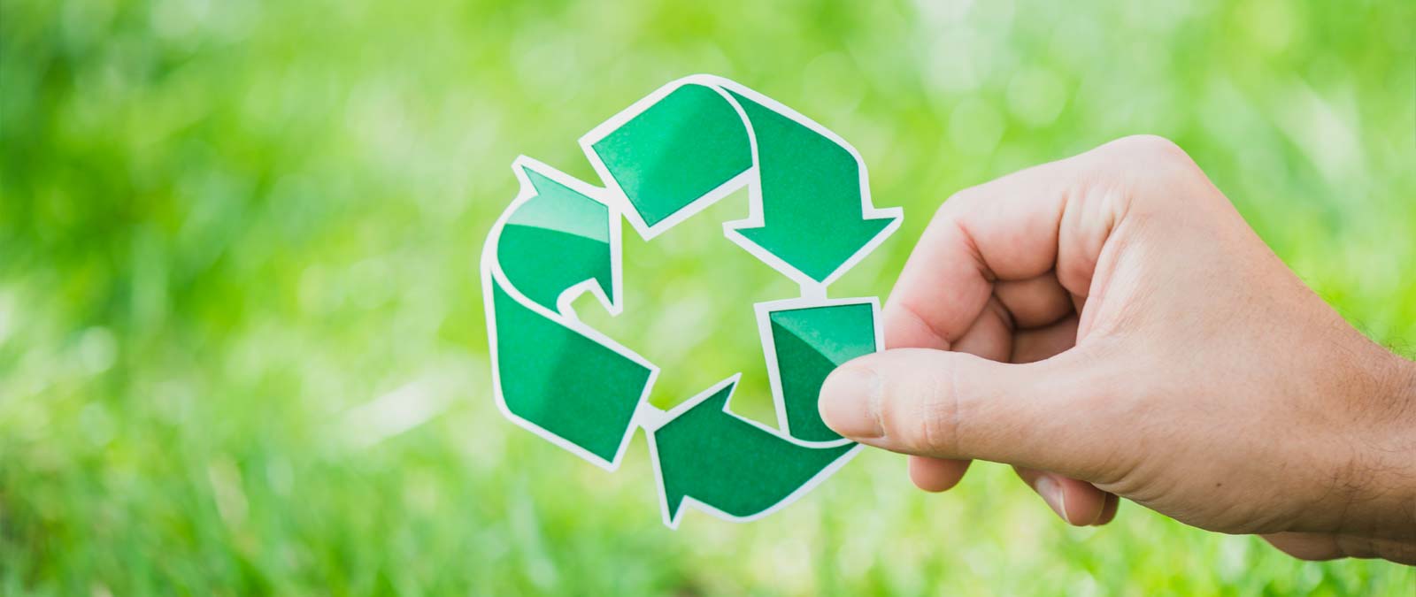 Masters Medio Ambiente