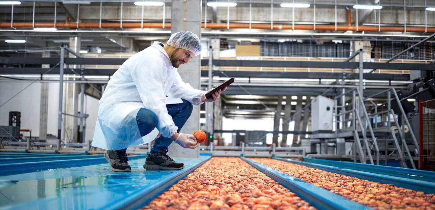 Procesos de calidad en la industria alimentaria